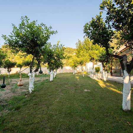 To Ktimataki Villa Agios Gordios  Bagian luar foto