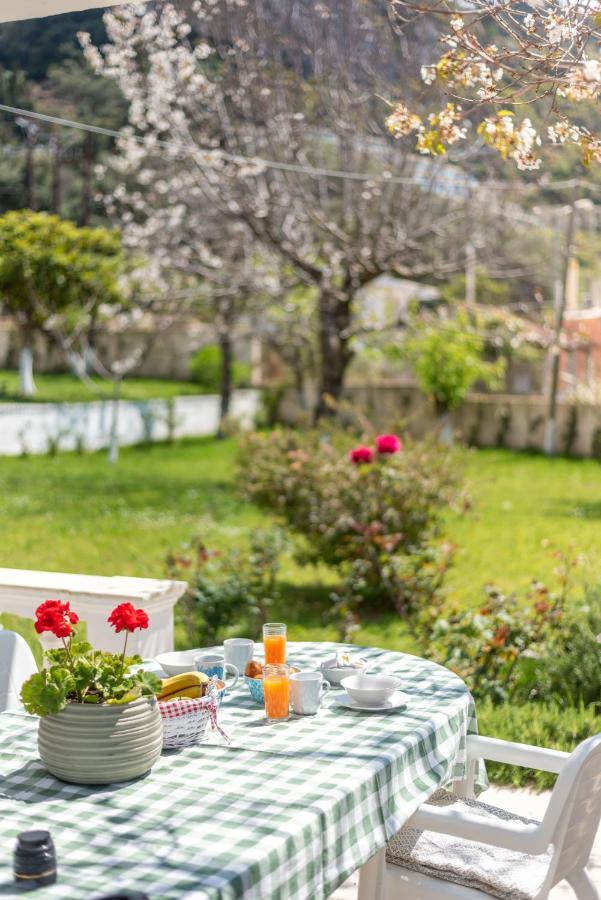 To Ktimataki Villa Agios Gordios  Bagian luar foto