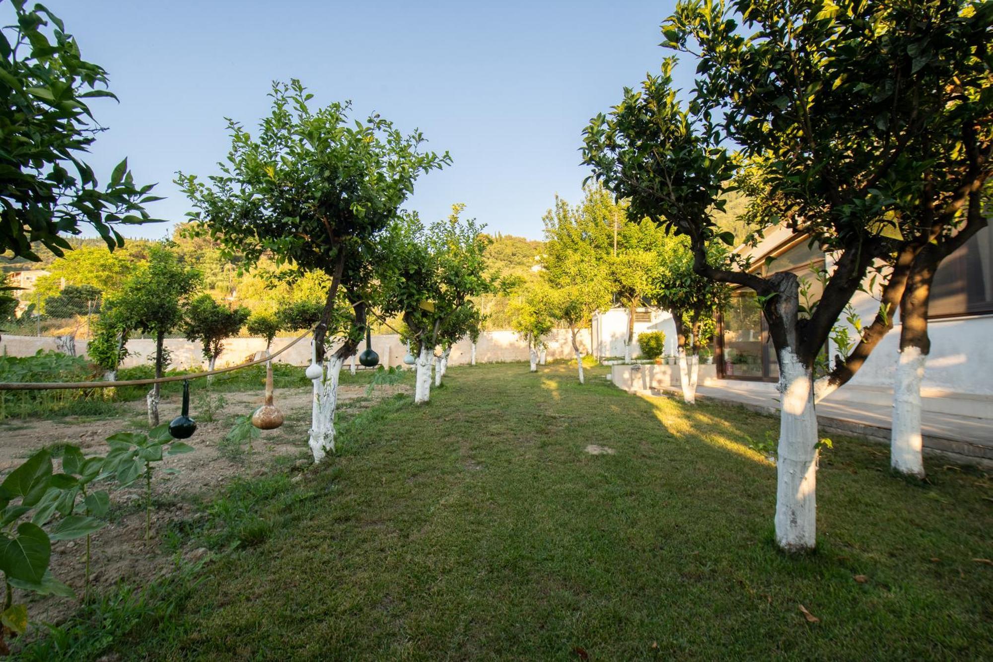 To Ktimataki Villa Agios Gordios  Bagian luar foto